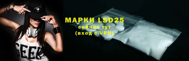 ГАЛЛЮЦИНОГЕННЫЕ ГРИБЫ Горняк