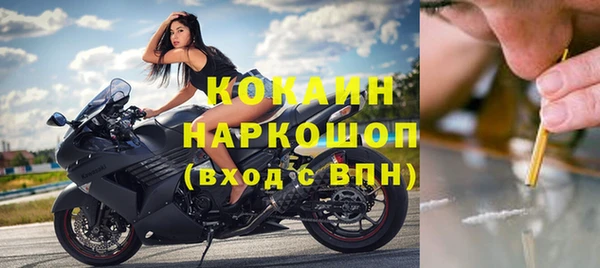 ГАЛЛЮЦИНОГЕННЫЕ ГРИБЫ Горняк