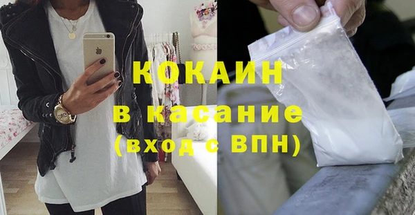 ГАЛЛЮЦИНОГЕННЫЕ ГРИБЫ Горняк
