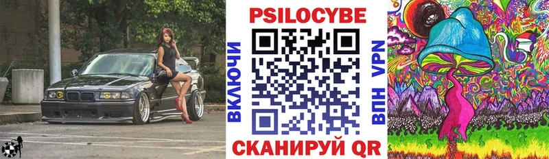 где можно купить   Новочеркасск  Псилоцибиновые грибы мицелий 